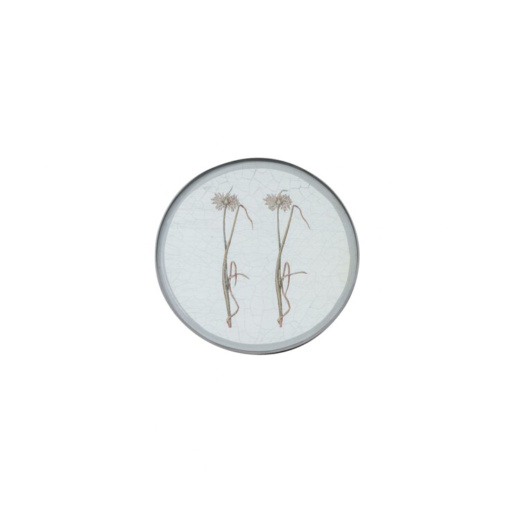 Round Coaster, Allium on silver leaf