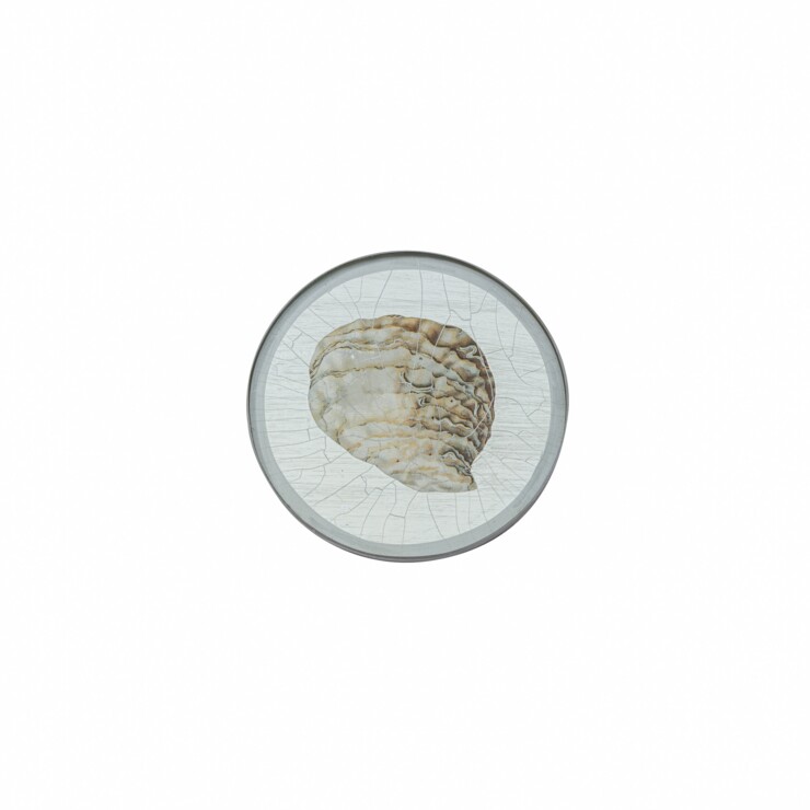 Round Coaster, Shells on silver leaf    £23