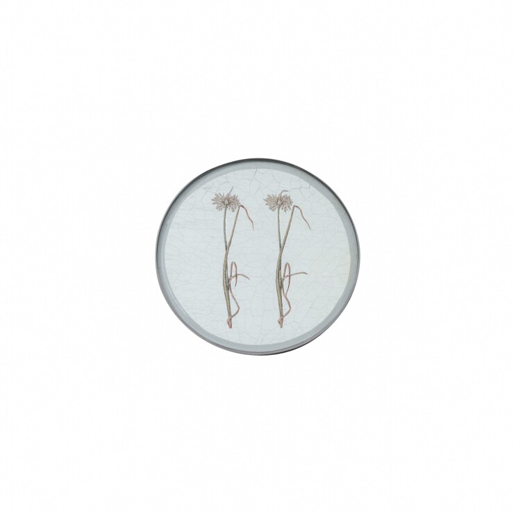 Round Coasters, Allium on silver leaf    £23